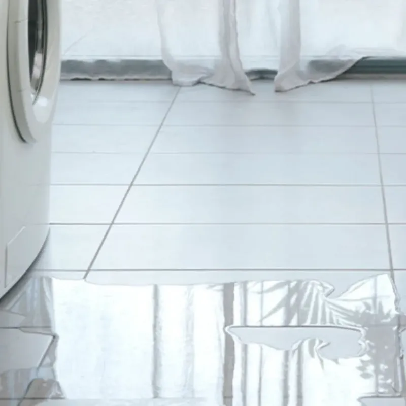 Appliance Leak Cleanup in Sandwich, MA